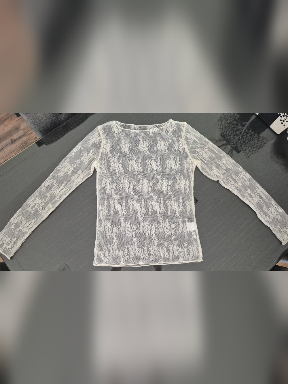 Tahari  Sheer Lace Long-Sleeve Top